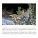 CLT coffee table book - Against the Odds
