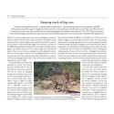 CLT coffee table book - Against the Odds
