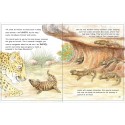 Children’s book - Footprints in the Fynbos 
