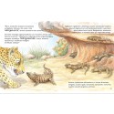 Children’s book - Imizila yeenyawo kwiFynbos 