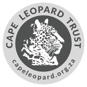 CLT license disc sticker