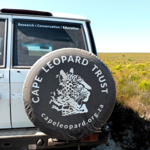 CLT spare wheel cover 