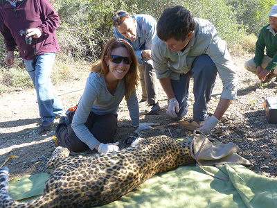 Gouritz Project Research Gareth Mann volunteer Pennie Ginn and Frikkie the leopard