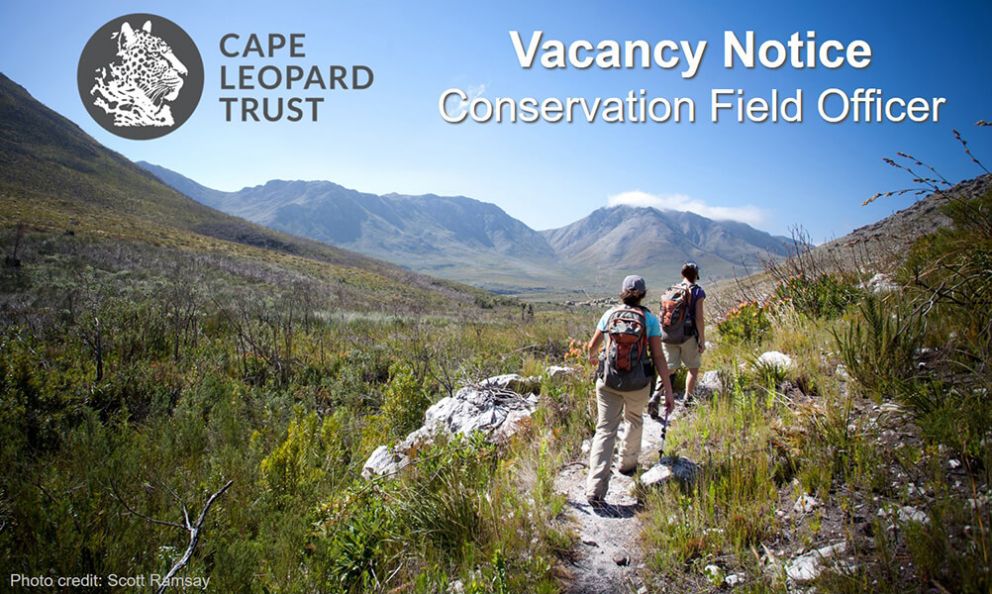 Cape Leopard Trust vacancy - Conservation Field Officer