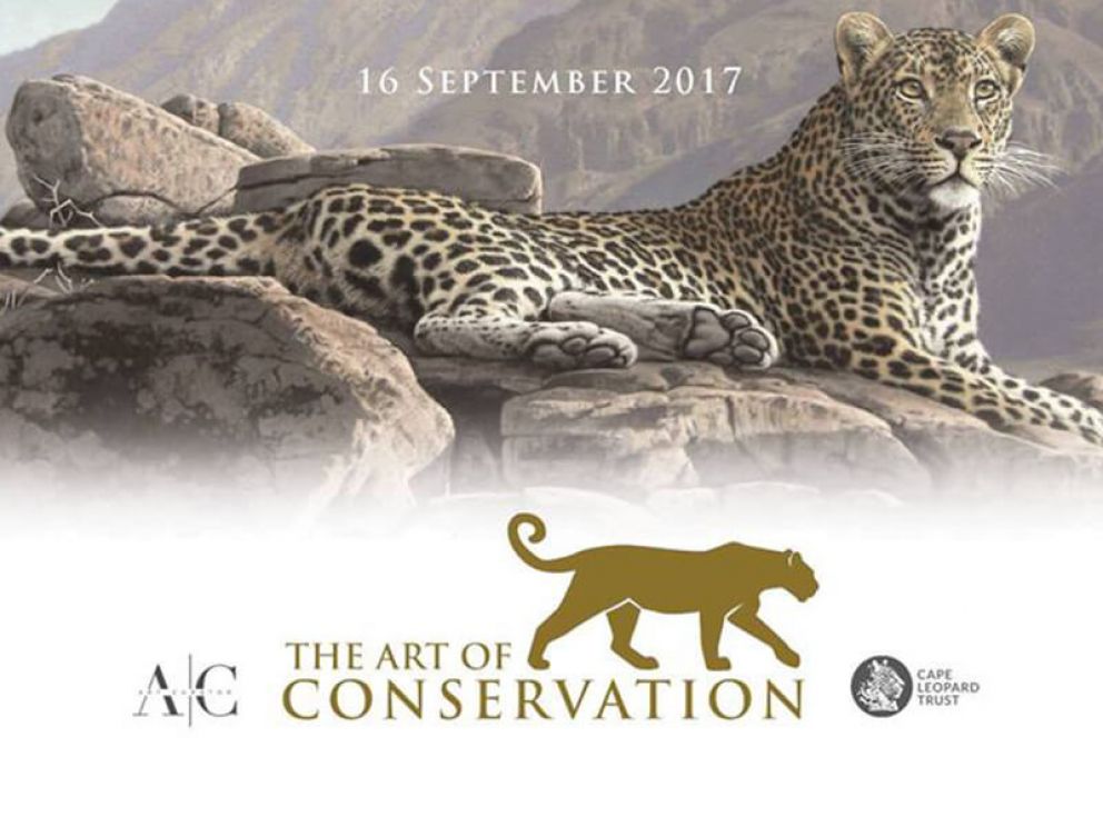 &#039;Art of Conservation&#039; exhibition and auction in support of leopards