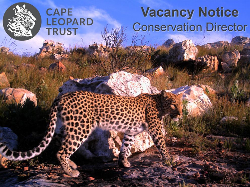 Re-advertisement - CLT Conservation Director vacancy