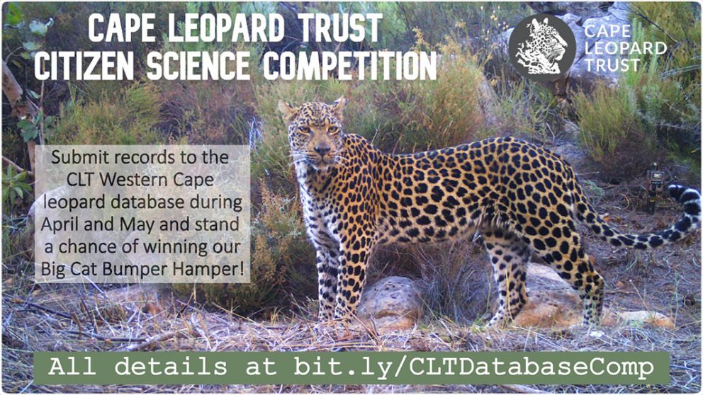 Cape Leopard Trust Citizen Science Competition