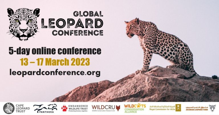 First-ever global leopard conference to shine conservation spotlight on persecuted species
