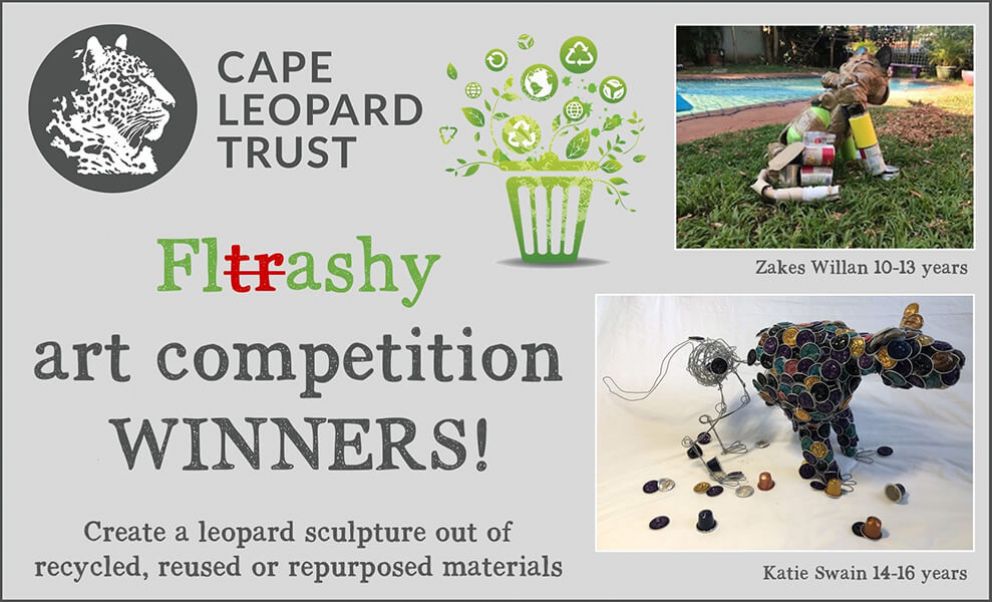 CLT Environmental Education 2020 Art Competition Winners