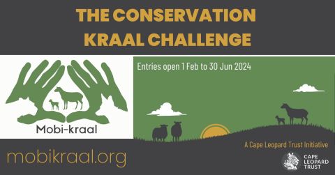 Cape Leopard Trust launches 'Conservation Kraal Challenge' to mitigate farmer-predator conflict