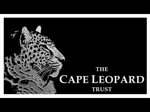 The Cape Leopard Trust - Who we are and What we do