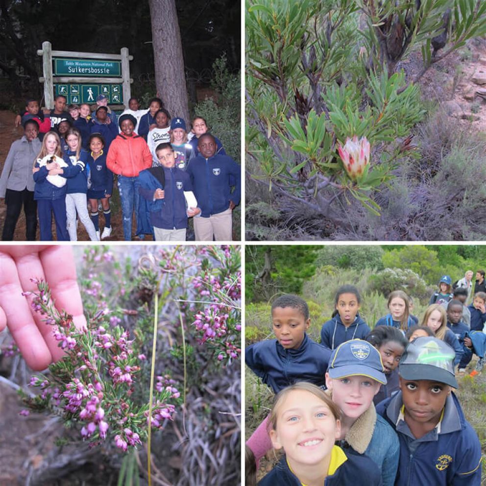 Thrive Eco-clubbers enjoy the Suikerbossie trail