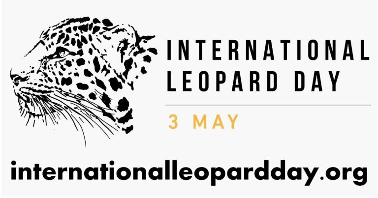 Celebrate International Leopard Day with us!