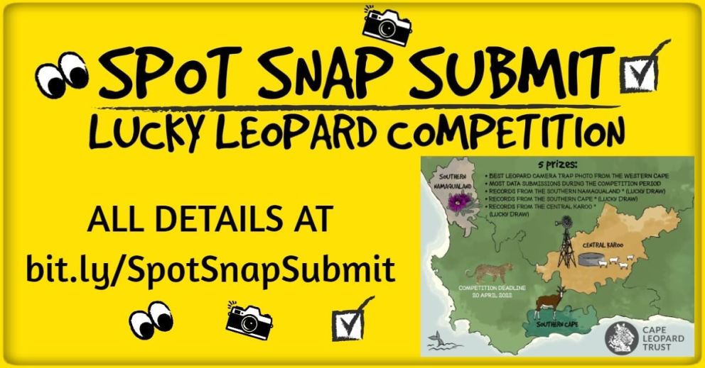 SPOT SNAP SUBMIT Lucky Leopard Competition!