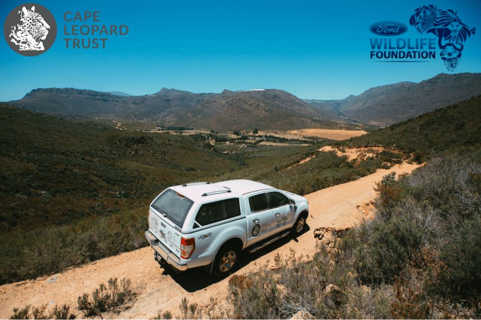 Ford Wildlife Foundation supports The Cape Leopard Trust