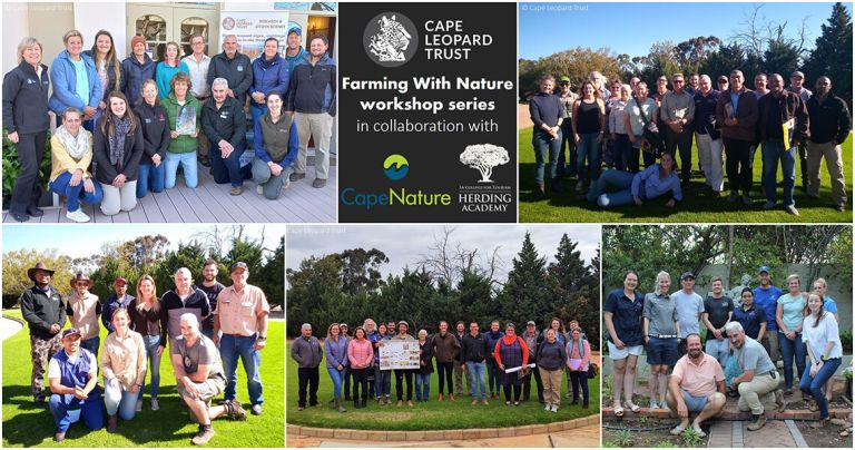 Farming with Nature Workshops – Learning Together