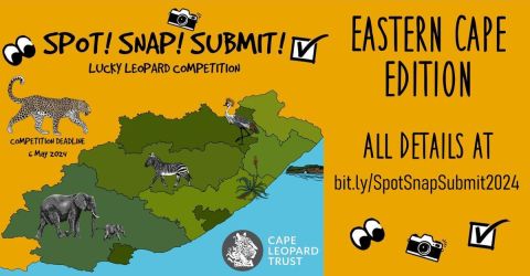 Eastern Cape SPOT SNAP SUBMIT! Lucky Leopard Competition