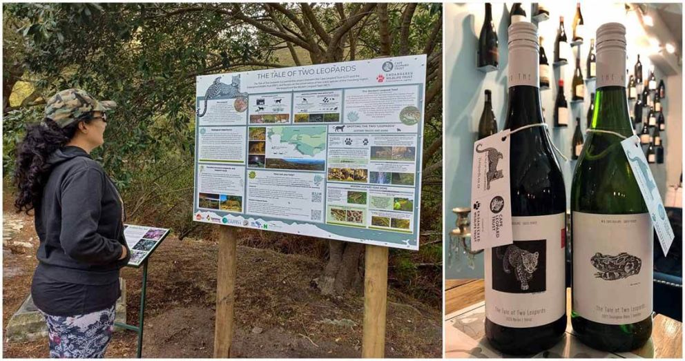 The Tale of Two Leopards in the Overberg – information signs &amp; wildlife wines