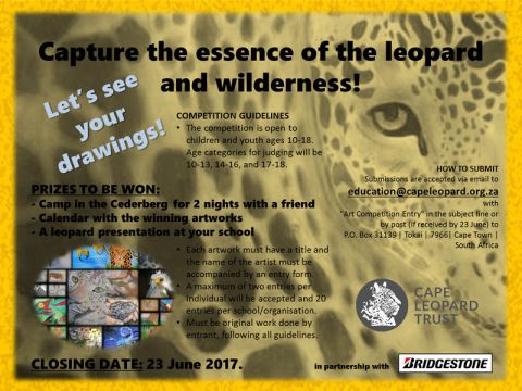 The Essence of a Leopard - Cape Leopard Trust’s Annual Inter-School Art Competition