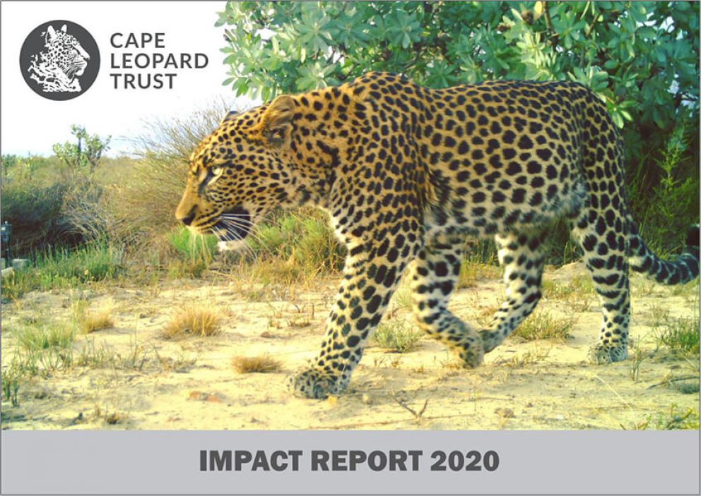 Festive greeting and 2020 CLT Impact Report